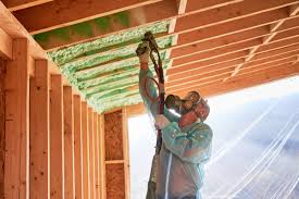 Best Insulation for New Construction  in Sawgrass, FL