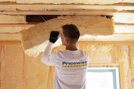 Best Commercial Insulation Services  in Sawgrass, FL